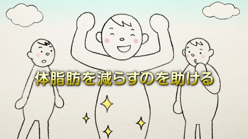 花王 ヘルシア 脂肪の代謝と茶カテキン - from YouTube.mp4.00_00_50_16.Still012